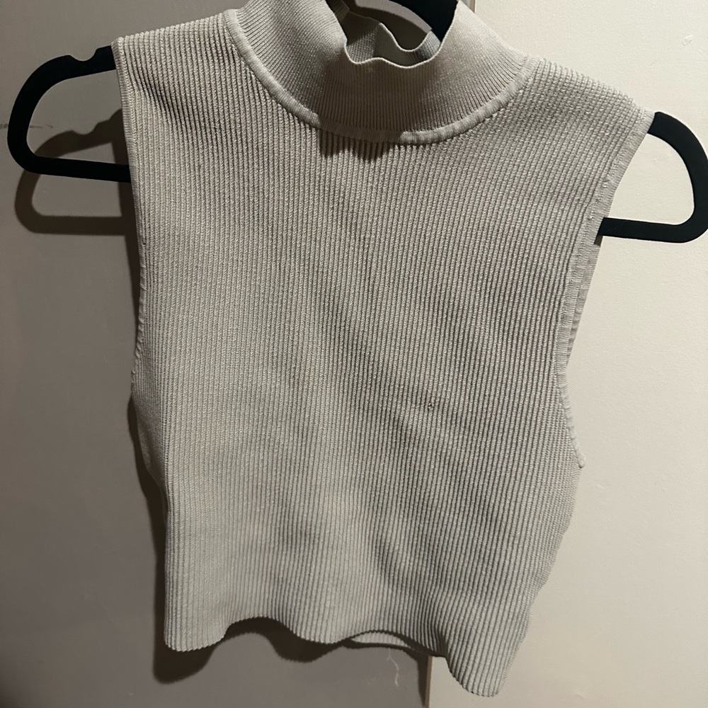 Aritzia Babaton Sleeveless Ribbed Turtleneck Top in Taupe